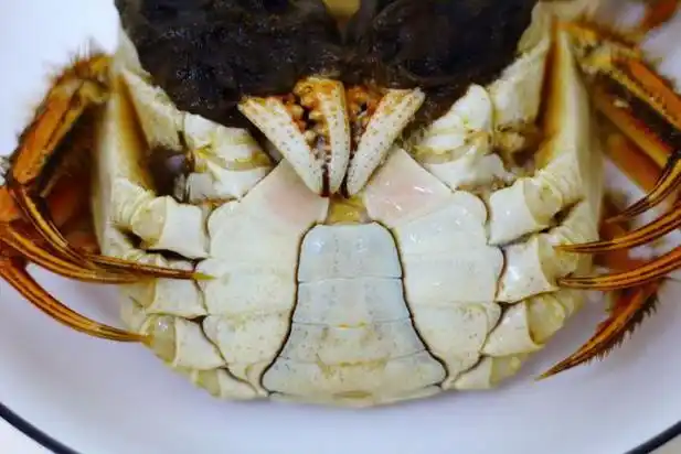 螃蟹公母哪个好吃 螃蟹公母哪个好吃一点