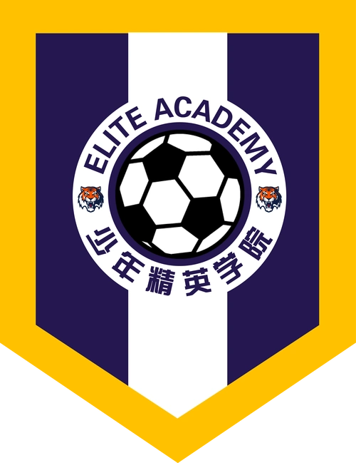 足球俱乐部队旗设计