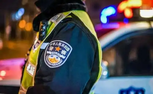 万家灯火与红蓝警灯遥相辉映人民警察选择留在夜晚在人们回家最暖最