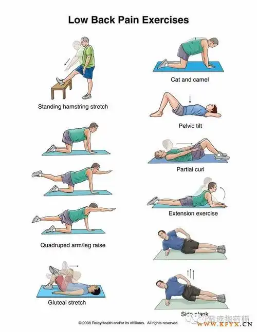 核心力量训练===============================冀连梅药师公众平台已