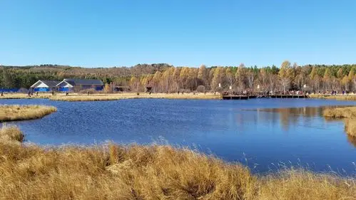 国庆4 2骑游——d4天(游塞罕坝国家森林公园) - 美篇