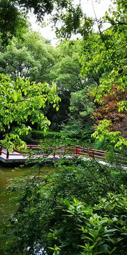 丽水万象山公园