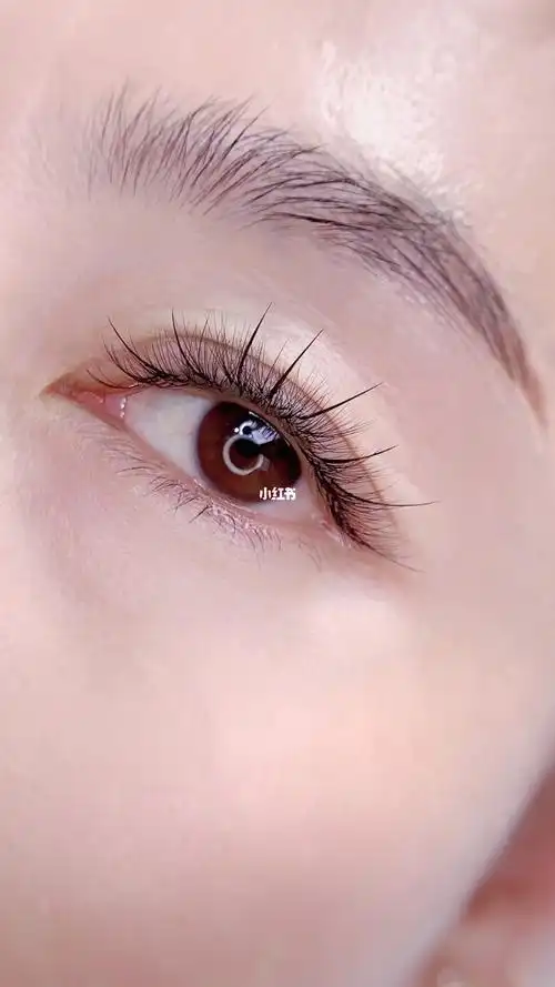 美睫自然有型精致