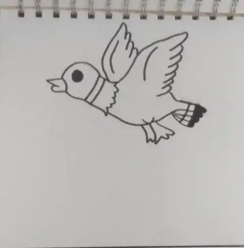 说是翱翔的麻雀,有点儿——勉强!