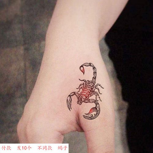 纹身贴防水男持久大图手背蝎子刺青 女手部大图胳膊后背前胸贴纸