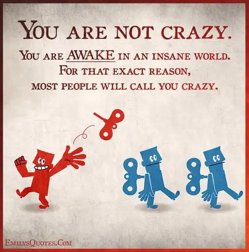 you are not crazy. you are awake in an insane world.