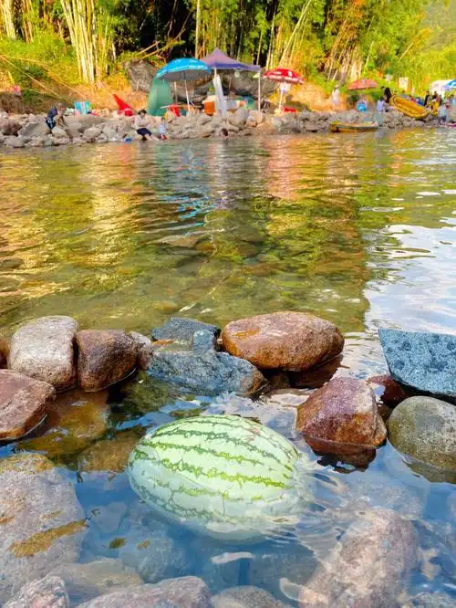 夏天泡溪水的凉快