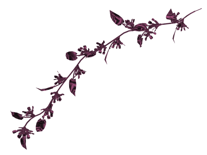 ps装饰素材花photoshop图片