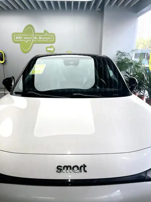 7815打工女孩每月156890拿下20w左右奔驰smart_fortwo 电动社区
