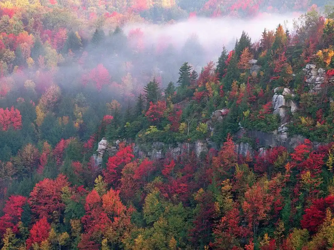 亮丽的山水花木美丽的风景桌面壁纸