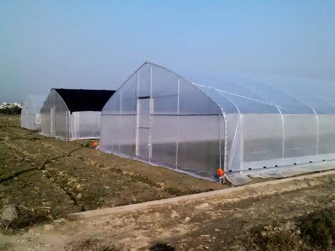 大棚搭建_ 泰安市祥鹏棚业有限公司