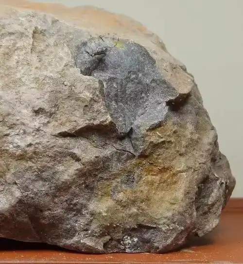 如何了解紫砂泥料紫泥朱泥段泥