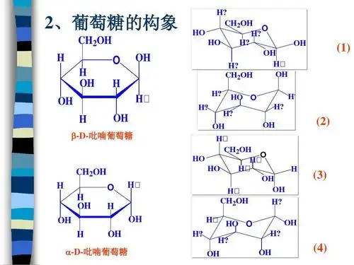 第十六章 糖类化合物ppt