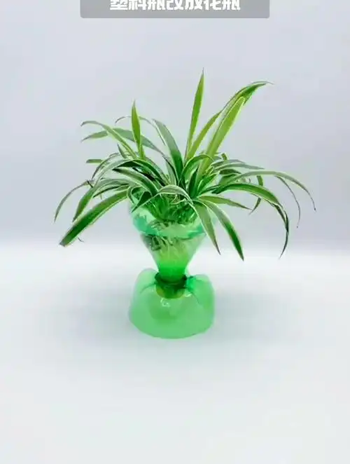 塑料瓶可别丢,3步就能变花瓶,用来养花棒极了自制花盆 生活小窍门-度