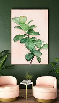 水彩植物画装饰画|板绘水彩清新绿色叶子植物琴叶榕装饰画ins风
