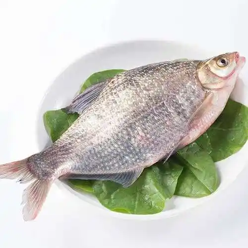 新鲜鲜活三斤速发杀冷活现淡水鲳鱼武昌鱼野生淡水鱼类