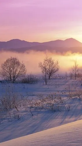 首页 自然与风景 冬天