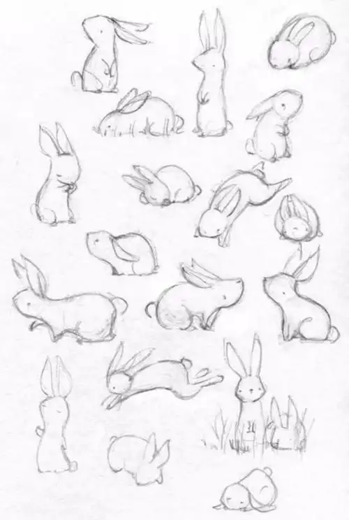 兔子素描简笔画图片兔子各种姿势动态100图