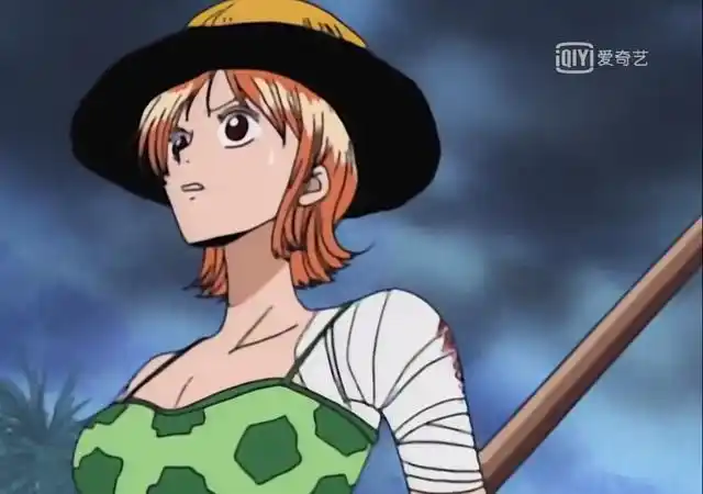 同普通人没有区别而后在阿拉巴斯坦中的战斗,娜美对战荆棘果实时,使用