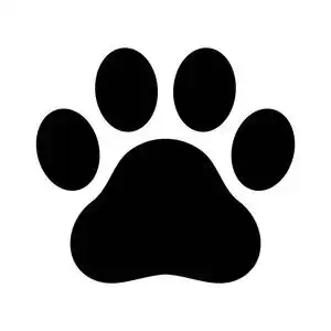 熊猫的图形图片