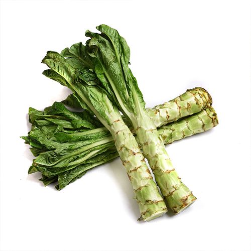 莴笋种籽三青红皮尖圆叶莴苣大田菜园盆栽春秋家庭园艺种子