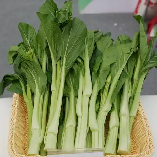 香甜花白菜苔种子菜心广东湖北小白菜春夏秋冬四季家庭园艺种子