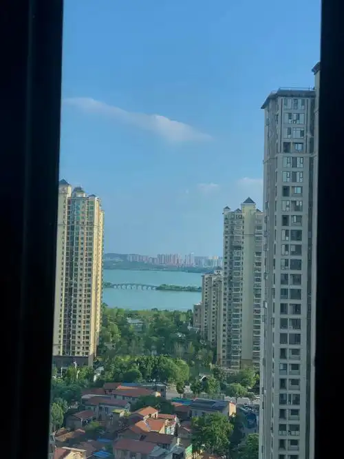 一些藏在窗外的早晨分享