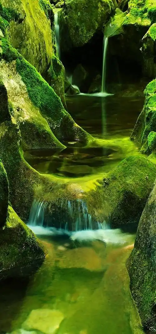 世外桃源美到窒息