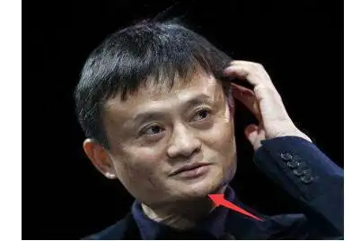 马云先生鼻梁挺括有力而不外弓