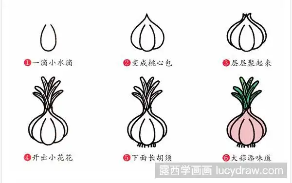 大蒜的简笔画教程