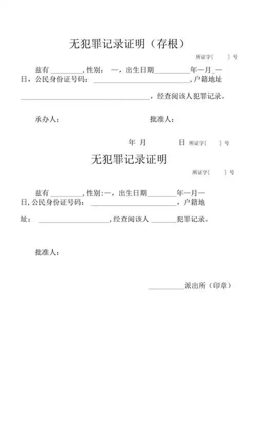 无犯罪记录证明docx