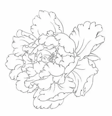 工笔画牡丹花房花蕊叶子枝干的画法及设色画最简单的牡丹花简笔画牡丹