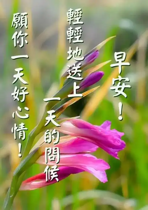 周二早安,最美的问候送给你!