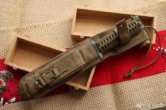 摄影图册欣赏 strider挺进者d9-ss