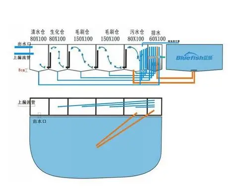 锦鲤鱼池过滤系统,给您一个清澈见底的鱼池