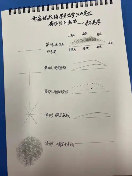 零基础纹绣学员必学五点定位眉形设计画法