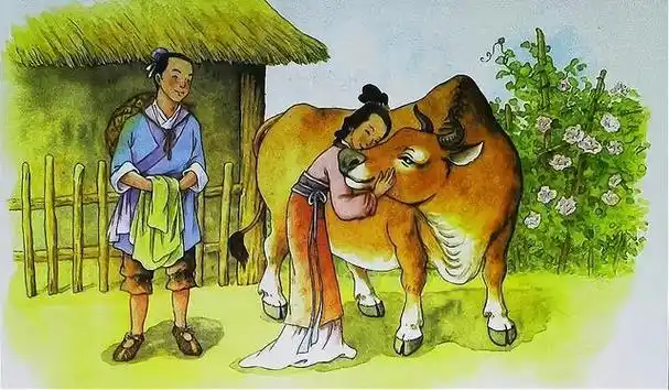 放牛娃,娶了天上的仙女为妻,多么传奇而美好,多么令人向往,牛郎织女的