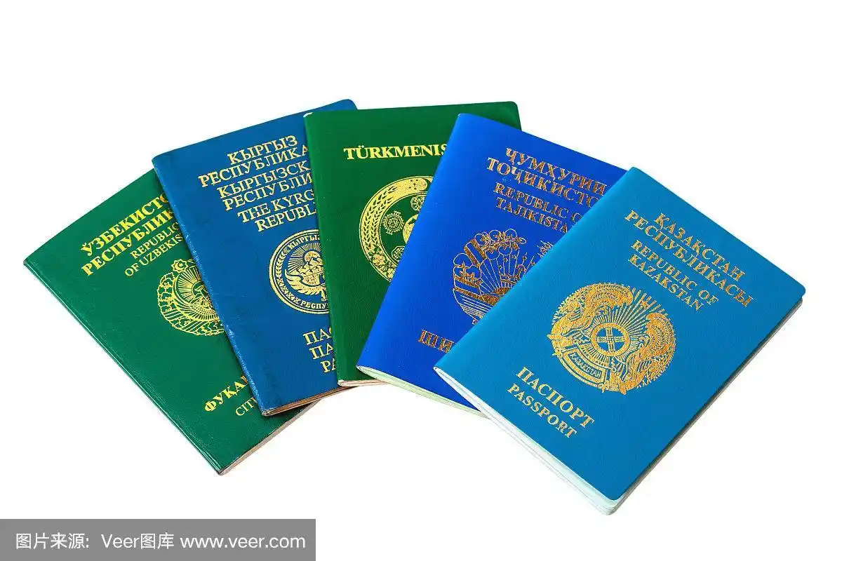 白人背景的不同外国护照