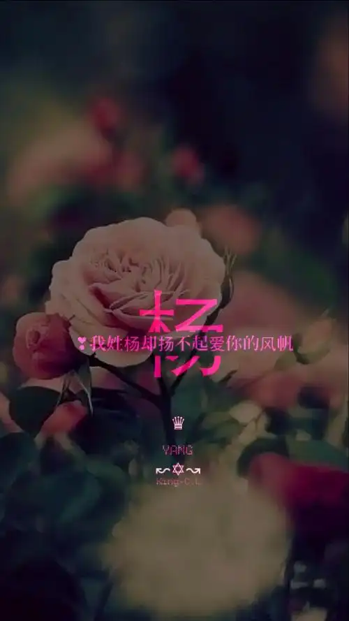 姓氏壁纸喜欢的打赏吧