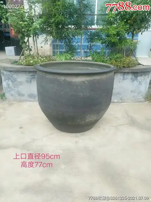 清代老陶缸,水缸,庭院摆放养鱼,莲花,水葫芦