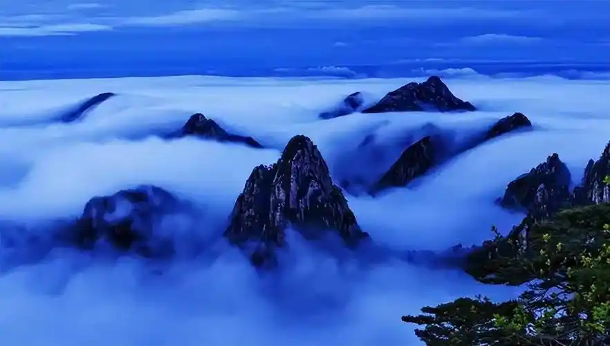 黄山云海,人间仙境!_山峰_美得_云雾