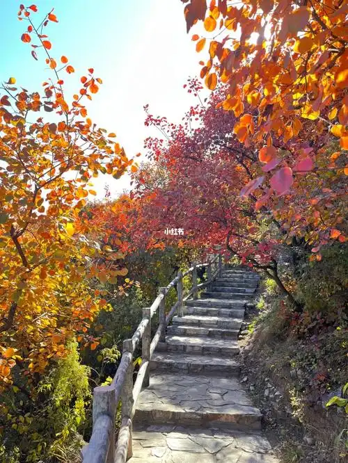 北京坡峰岭爬山72
