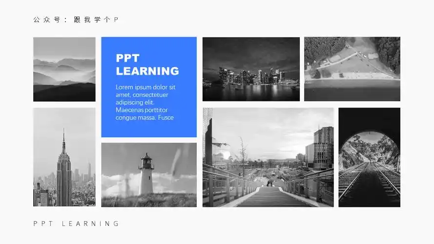 ppt里图片太多怎么排版(多个图片在ppt中怎么排版才好看) - 正数办公