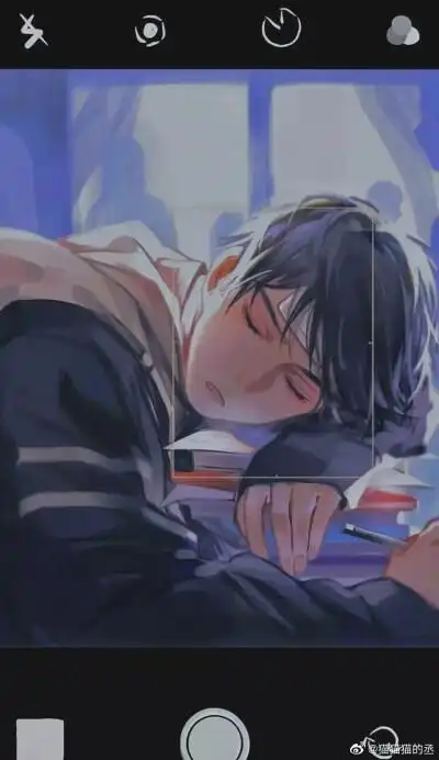 猫丞丞和兔飞飞