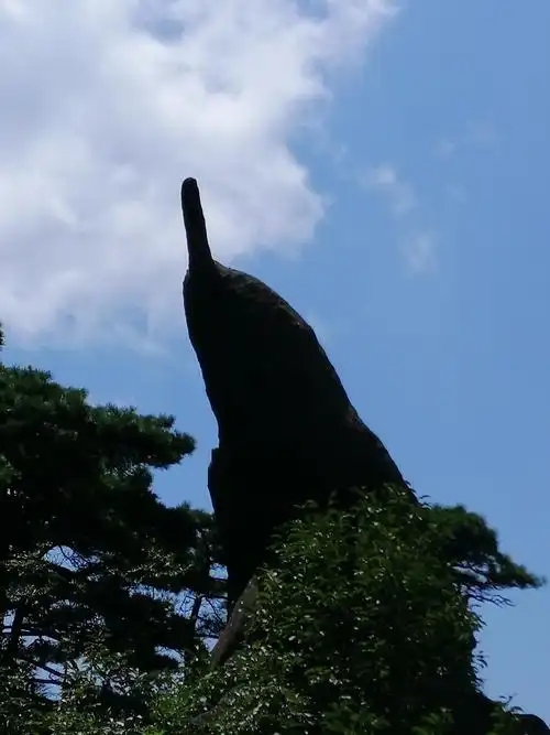 像手指的,仙人指路.一块石头就像一根手指,指着前方.