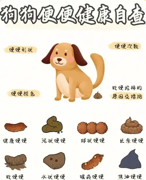 通过狗狗便便了解狗狗健康