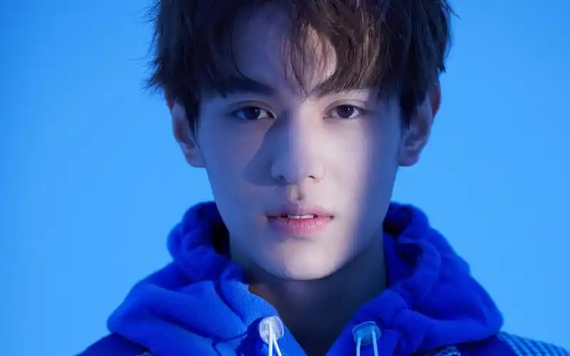 【左叶】你是年少的欢喜-喜欢的少年是你||致追星