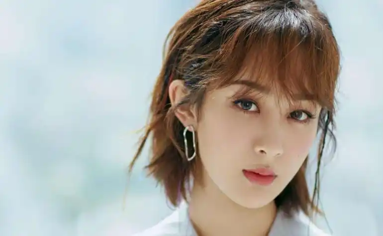 杨紫(杨紫个人简介)