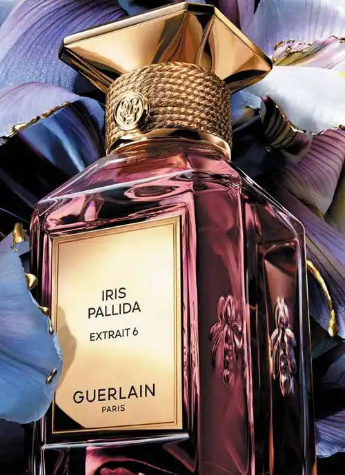 法国娇兰 艺术沙龙 全新香精系列_玫瑰_香气_香水