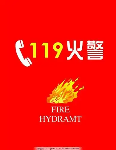 让孩子们认识"119火警电话".